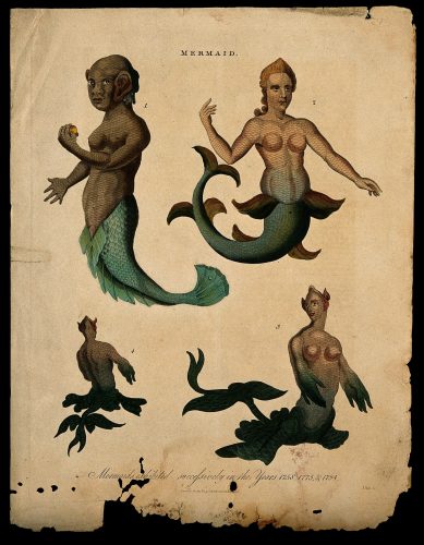 gravures de sirènes