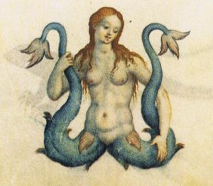 sirène_période_renaissance