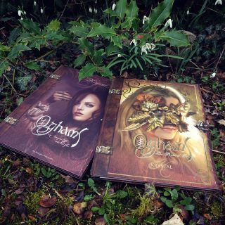 oghams 2 tomes Krystal camprubi