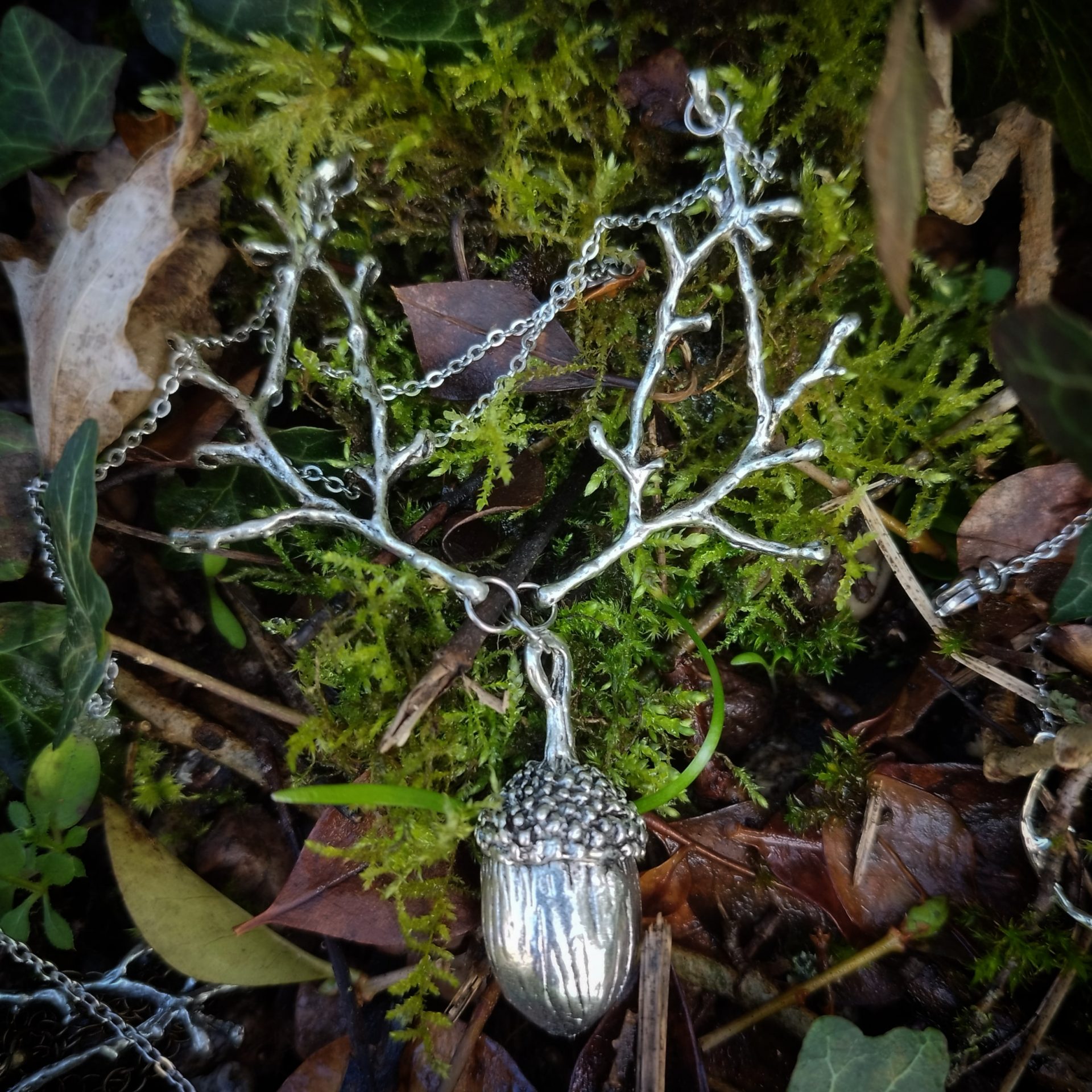 collier fruit foret gland