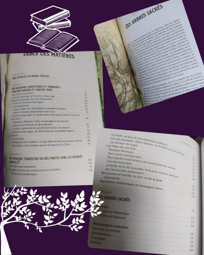 forêts merveilleuses sommaire littérature onirique