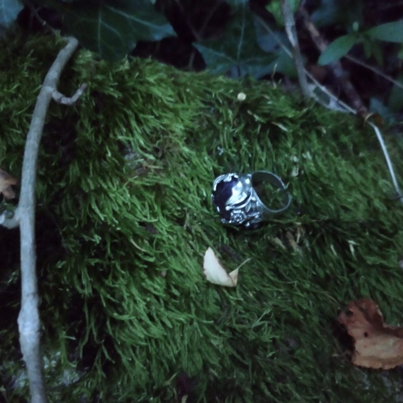 Bague chevalière Nature florissante – Image 5