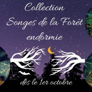 banniere collection songes foret